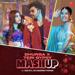 Dhunga X Teri Gypsy Mashup
