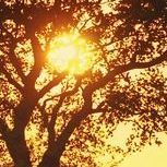 回不去的往事 (4)