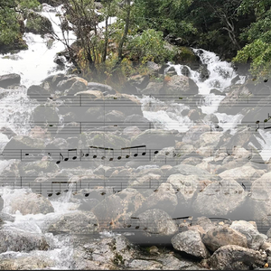 Stars and Stripes Forever