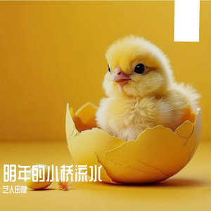 明年的小桥流水