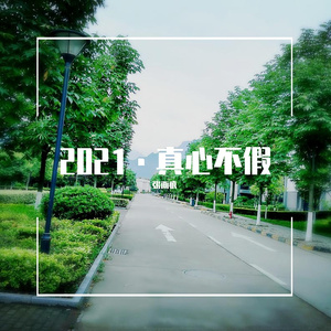 真心不假（全景磁场音效）（翻自 赵薇）