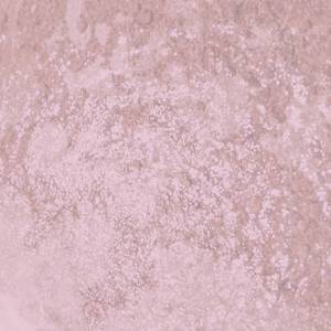 『FREE』给你整个月亮？