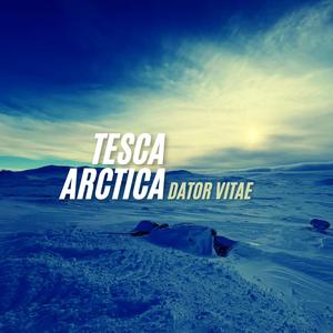 Tesca arctica
