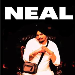 Neal (Old Version)
