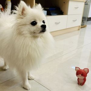 你瞒我瞒（COVER：陈柏宇）