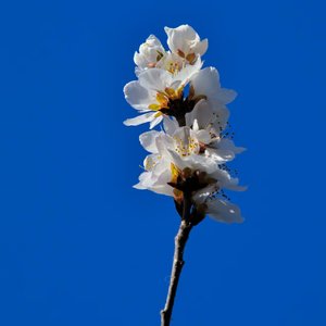 《沉默的亏欠》