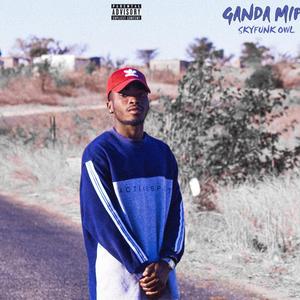 Fly Away (feat. Dj Mazlley Beats, Ras Sholomba & Nappy Boi)