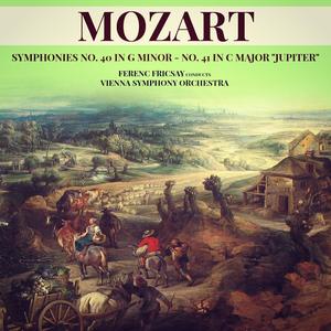 Symphony No. 40 in G Minor, K. 550: I. Molto allegro