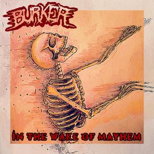 In the Wake of Mayhem