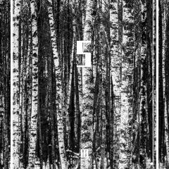 假装我们没爱过