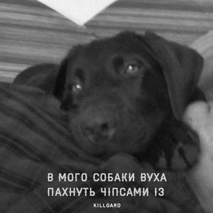 В мого собаки вуха пахнуть чіпсами із