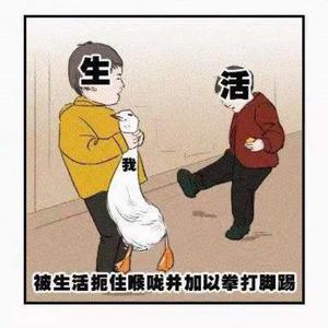 别再问我什么是迪斯科（Cover新裤子）