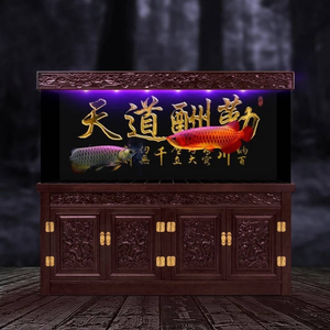 Tetsuo's Gas Alarm (Ruan Bootie)