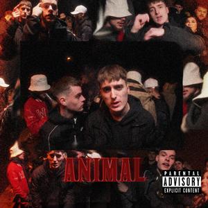 ANIMAL
