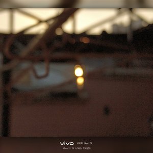 东海暗恋之殇