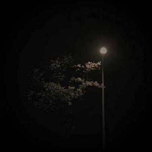 像 梦 里 像 夜 里 （prod.by 百川）