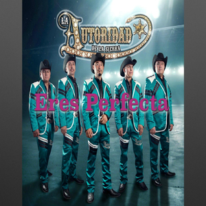 Eres Perfecta