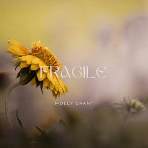 Fragile