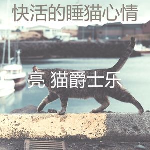 抚慰的猫在家回忆