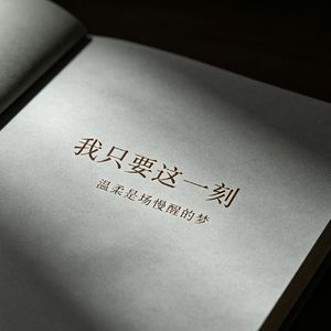 我只要这一刻