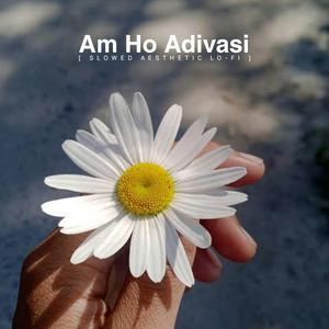 Am Ho Adivasi (Slowed Aesthetic Lo-fi)