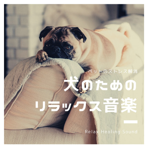 家族とイヌの穏やかな時間