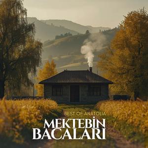 Mektebin Bacaları