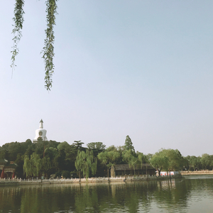 已是两条路上的人（翻自 赵雷）