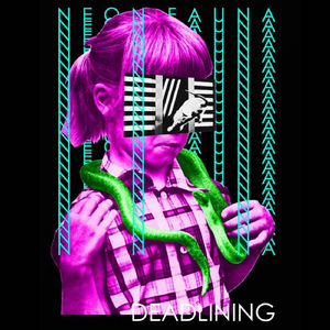 Umbrella Ghost (Live)