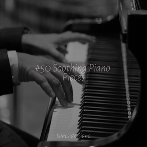 Liszt Consolation No 3 in D-Flat Major