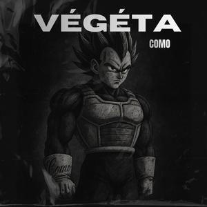 Végéta