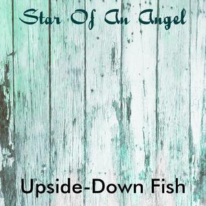 To Life A Modest Proposal