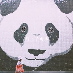 成都的一个周末