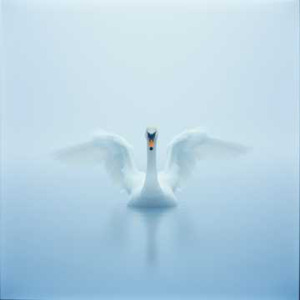 SWAN (FOG Ver.)