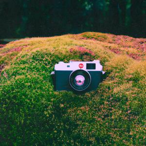 Mourning Fog (feat. Peter Morén)