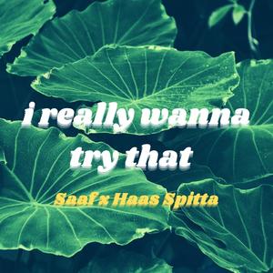 i really wanna try that (feat. Haas Spitta)