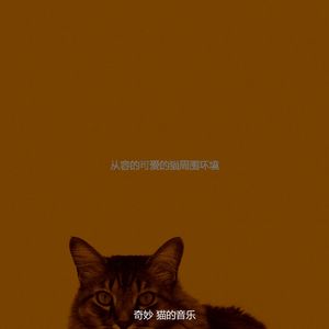 温和压力大的猫梦想