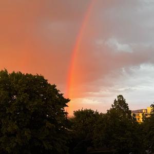 Rainlight