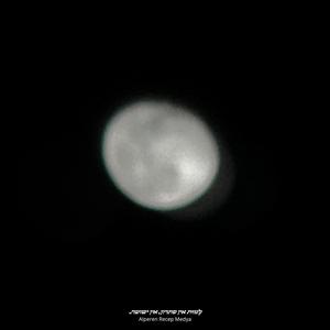 Çözüm yok, Kurtuluş yok.