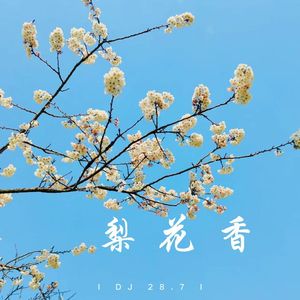 梨花香 (霜雪千年DJ版)
