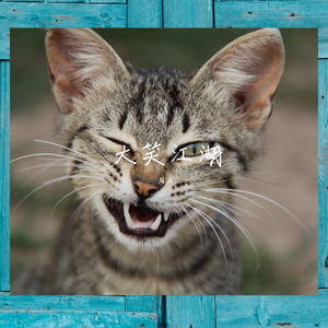 大笑江湖（翻自 黄小喵）