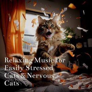 Calming Music for Cats