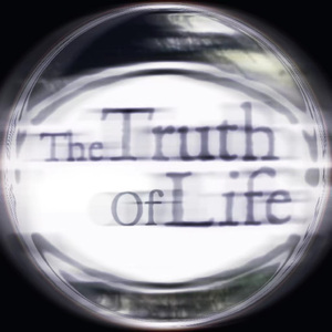 The Truth Of Life (Do For Love Remix)