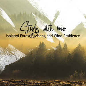 Isolated Forest Birdsong and Wind Ambience, Pt. 4