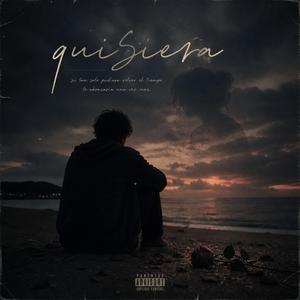 Quisiera