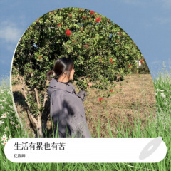 我们再也没有了以后