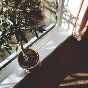 周旋（Cover: 张瑶）-《你是我的城池营垒》插曲（翻自 张瑶）