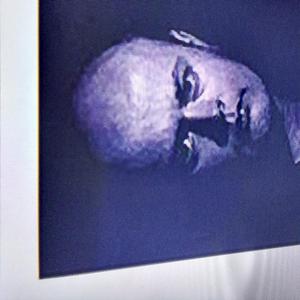 Bank Holiday Sunshine!