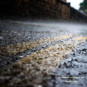 안정을 위한 빗소리