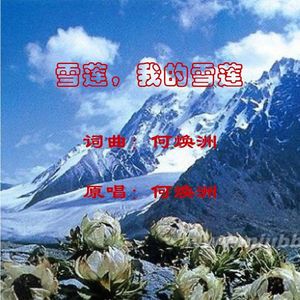 雪莲，我的雪莲（何焕洲原唱）